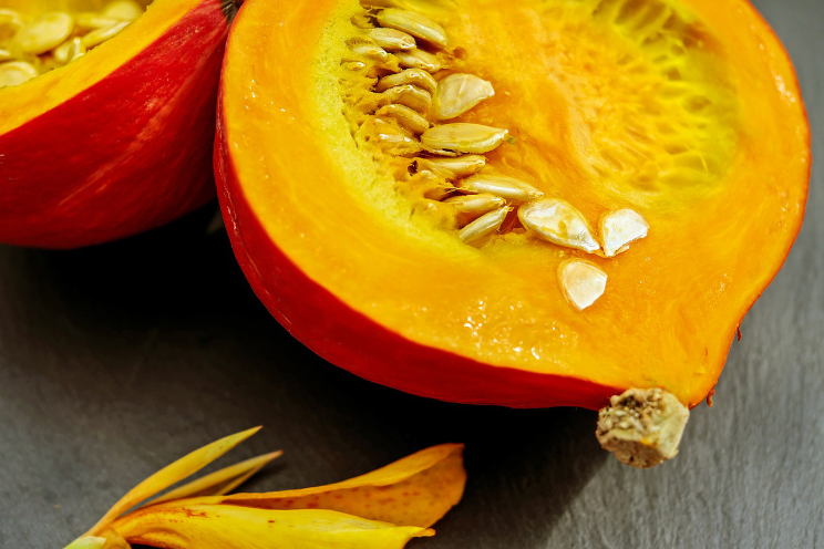 dynova seminka recept